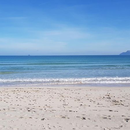 Ideal Property Mallorca - Avinguda Dels Pins 441 Playa de Muro  Eksteriør billede